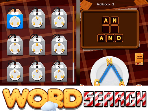 Word Search cover